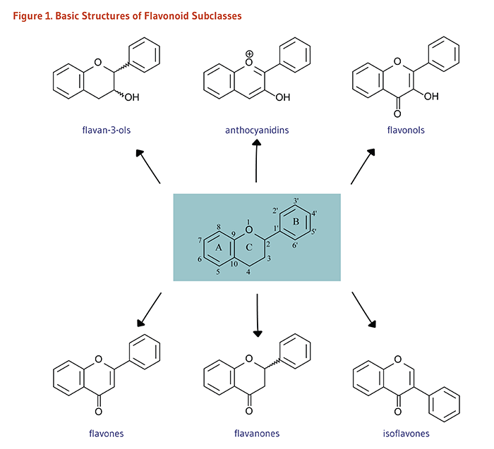 Flavonoids-figure1-v4-700px.png