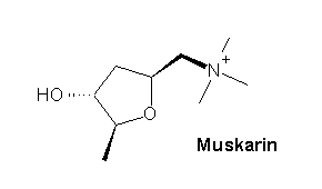Muskarin